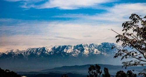 Tea gardens in India -  Palampur, Hill Station in the Indian Himalayas and "Tea Capital of North India" Image courtesy: Erik Torner via Flickr