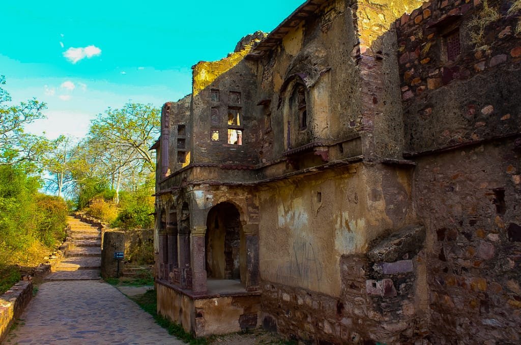 Ranthambore National Park  Fort