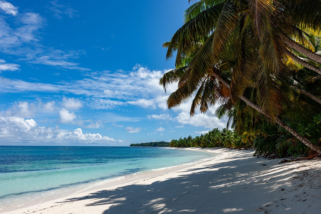 Desroches Island. Photo credit - Paul Turcotte
