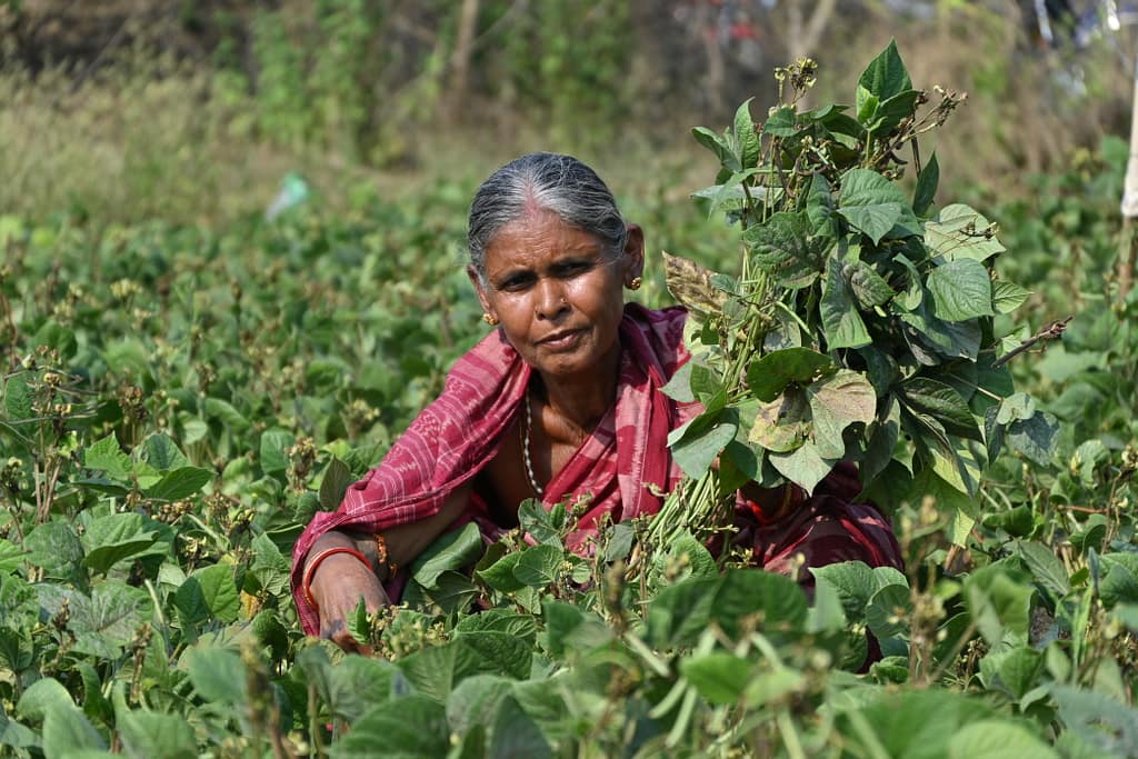 Kamala Pradhan (Farmer) 