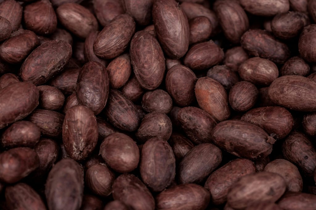 Cocoa beans