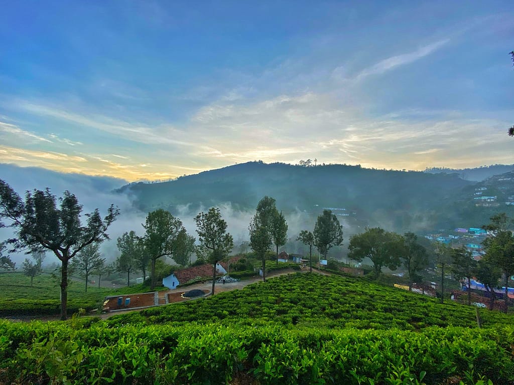 A misty-eyed hill station in Tamil Nadu called Ooty