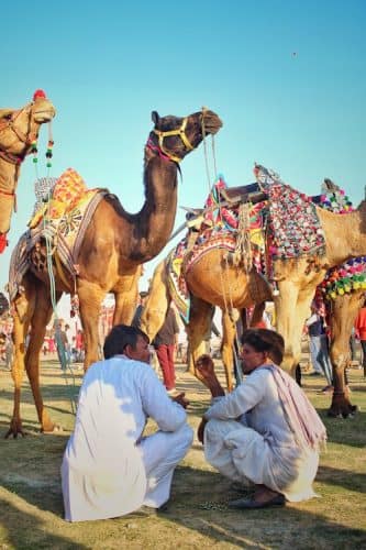 pexels photo 1707965 scaled February Frolic: 8 Great Festivals and Fairs