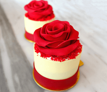 Valentine's Day at  Renaissance Ahmedabad Hotel  