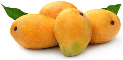 delicious mangoes