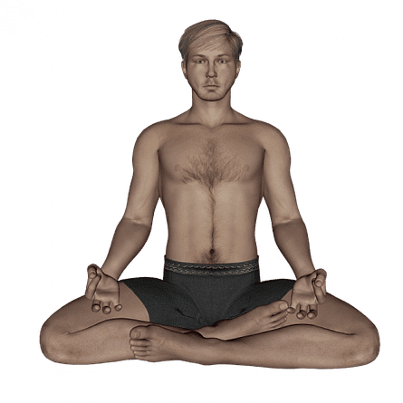 Yogic posture