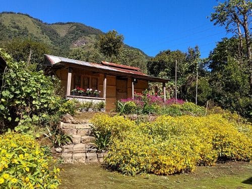 - Homestay Boom - Dzuluke Homestay, Kohima, Nagaland Image courtesy Mike Prince from Bangalore via Wikipedia Commons