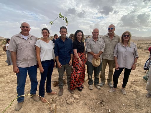 Ancient Grape Varieties Revived in the Israeli Negev Desert 
Image Credits: Dvorin Communications