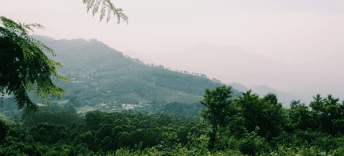 Kolli Hills