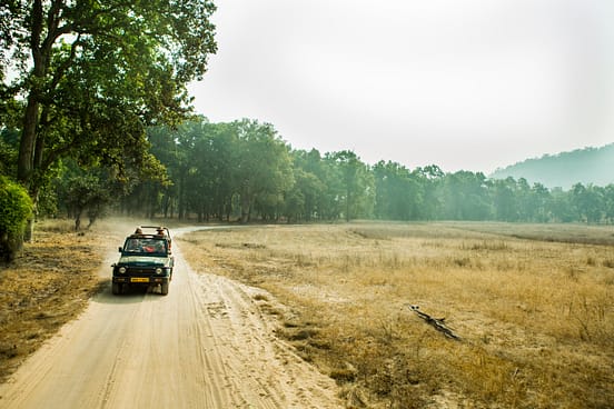 Tiger Reserves- Safari at Bandhavgarh- one of the Madhya Pradesh's 