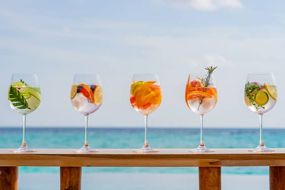 Milaidhoo Maldives Gin Masterclass