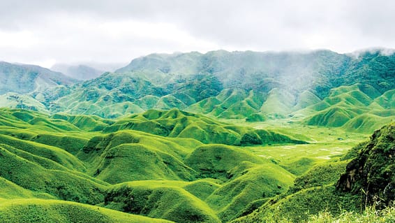 Dzukou Valley 