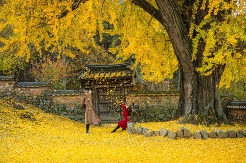 Scenic South Korea