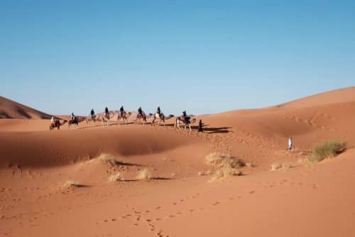 A group of people riding camels across a desert - Extraordinary new places