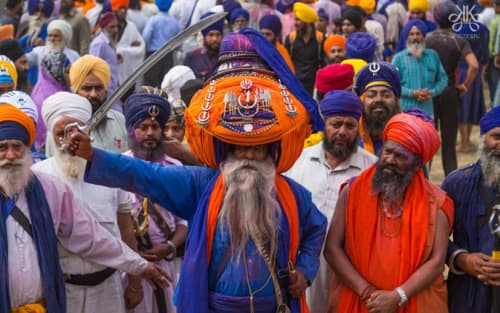 Festive Holi -  Hola Mohalla celebrations in Punjab 