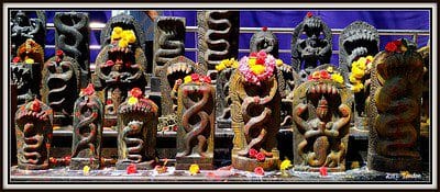 Naga (Snake) Worship. Image courtesy: P. L. Tandon via Flickr