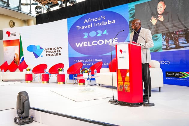 Deputy Minister of Tourism Fish Mahlalela African businesses encouraged to redefine themselves on the global stage