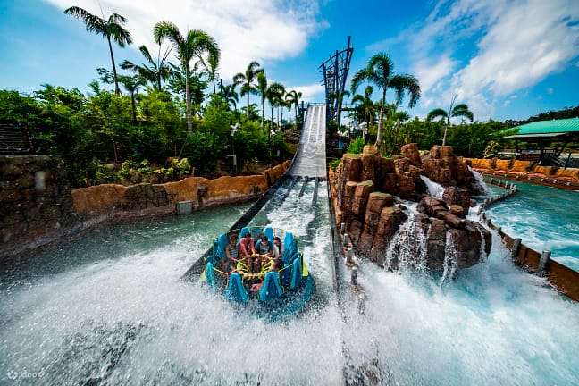 Busch Gardens Tampa Bay and SeaWorld Orlando 