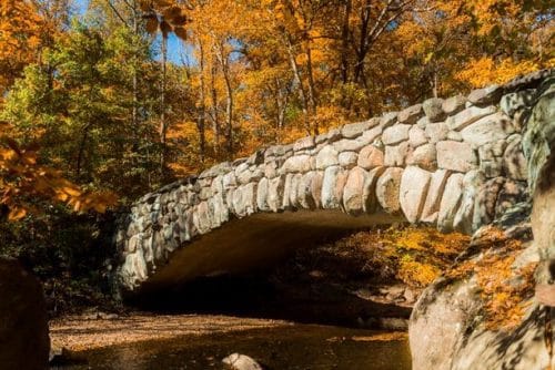 Fall foliage at a local park  (Image Credits: Washington.org)