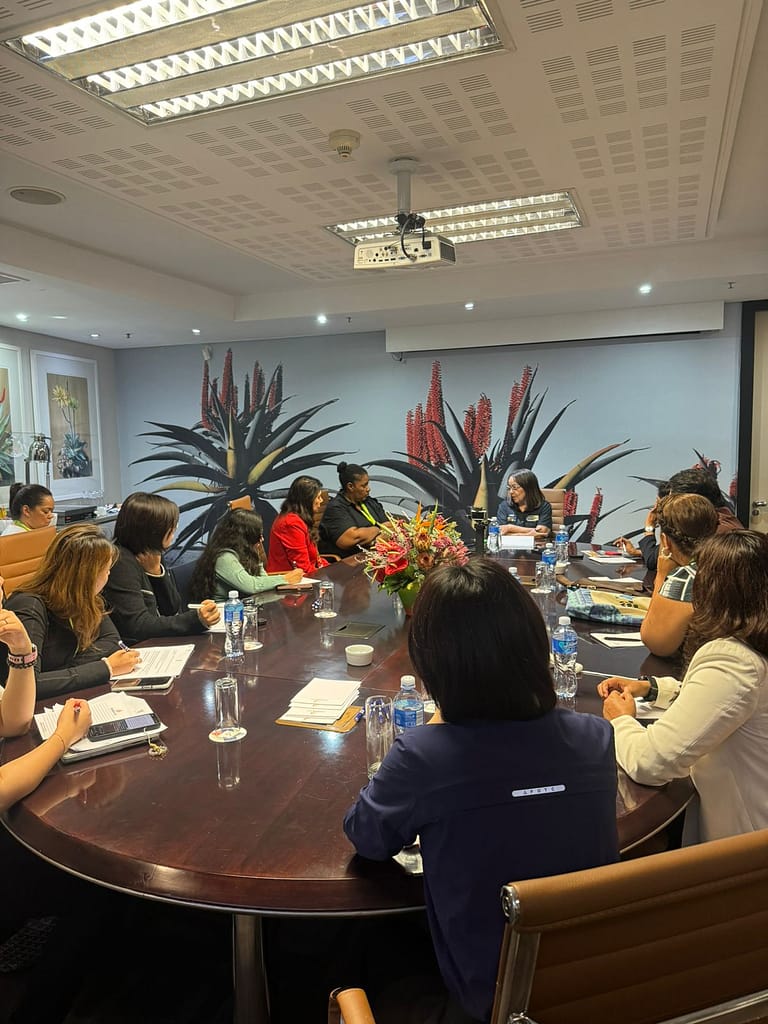 Patricia de Lille in an exclusive interview with Media in South Africa discussed the E-visa system