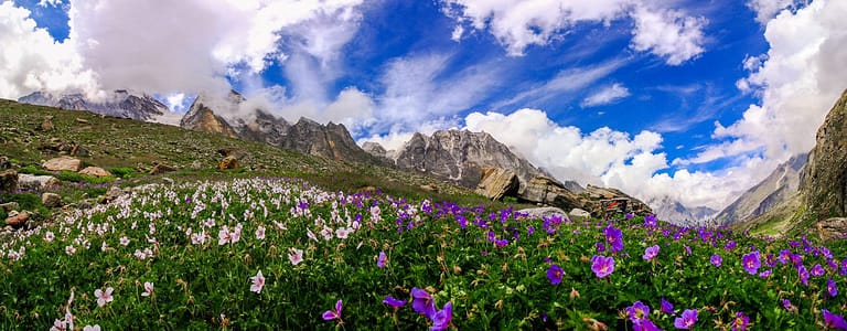 Valley of Flowers