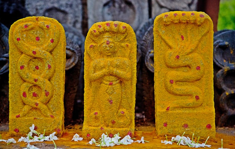 Nag Panchami: A Celebration of Reverence and Rituals of 4 States (Image Source: Flickr)