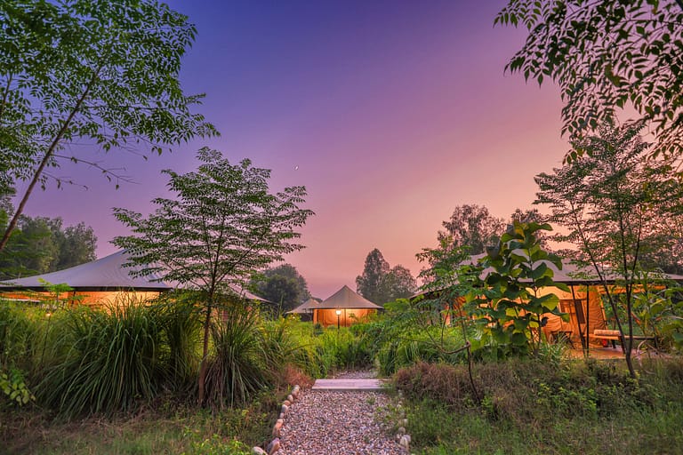 Aalia Jungle- Evening view (Unveiling the Unparalleled Luxury of the Aalia Collection)