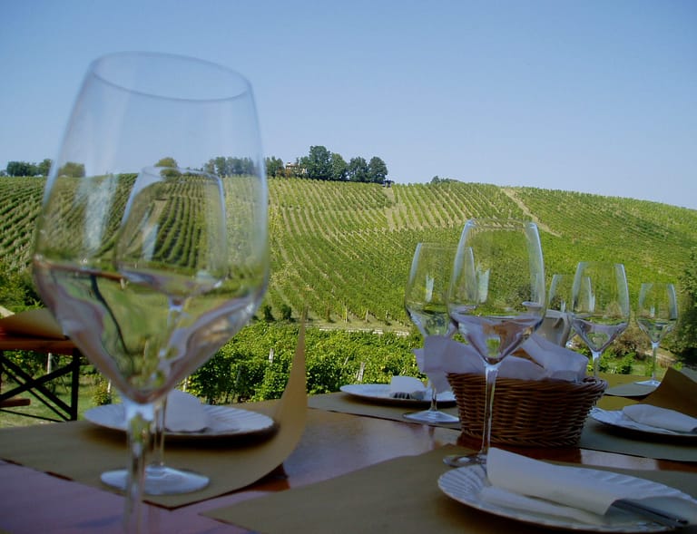 Famous Vineyards to Visit During the September Harvest