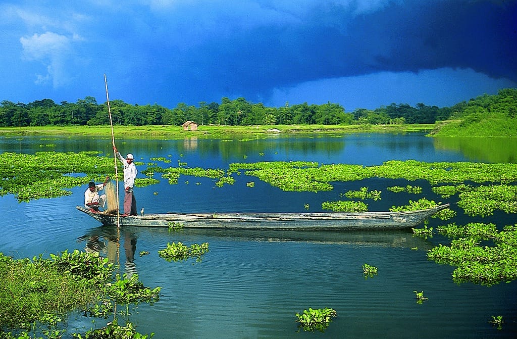 Majuli Island ( source: Wikimedia Commons)